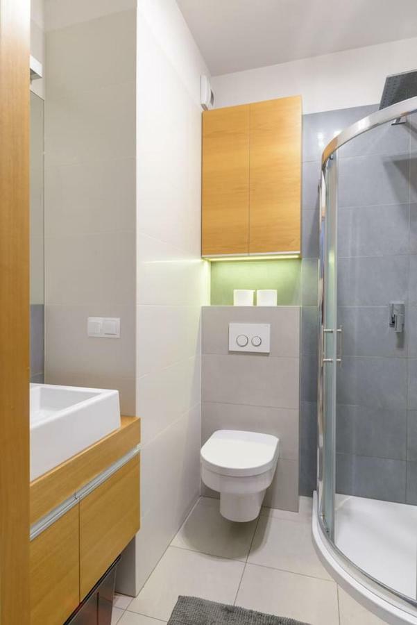 Dabrowskiego Apartment Poznaň Exteriér fotografie